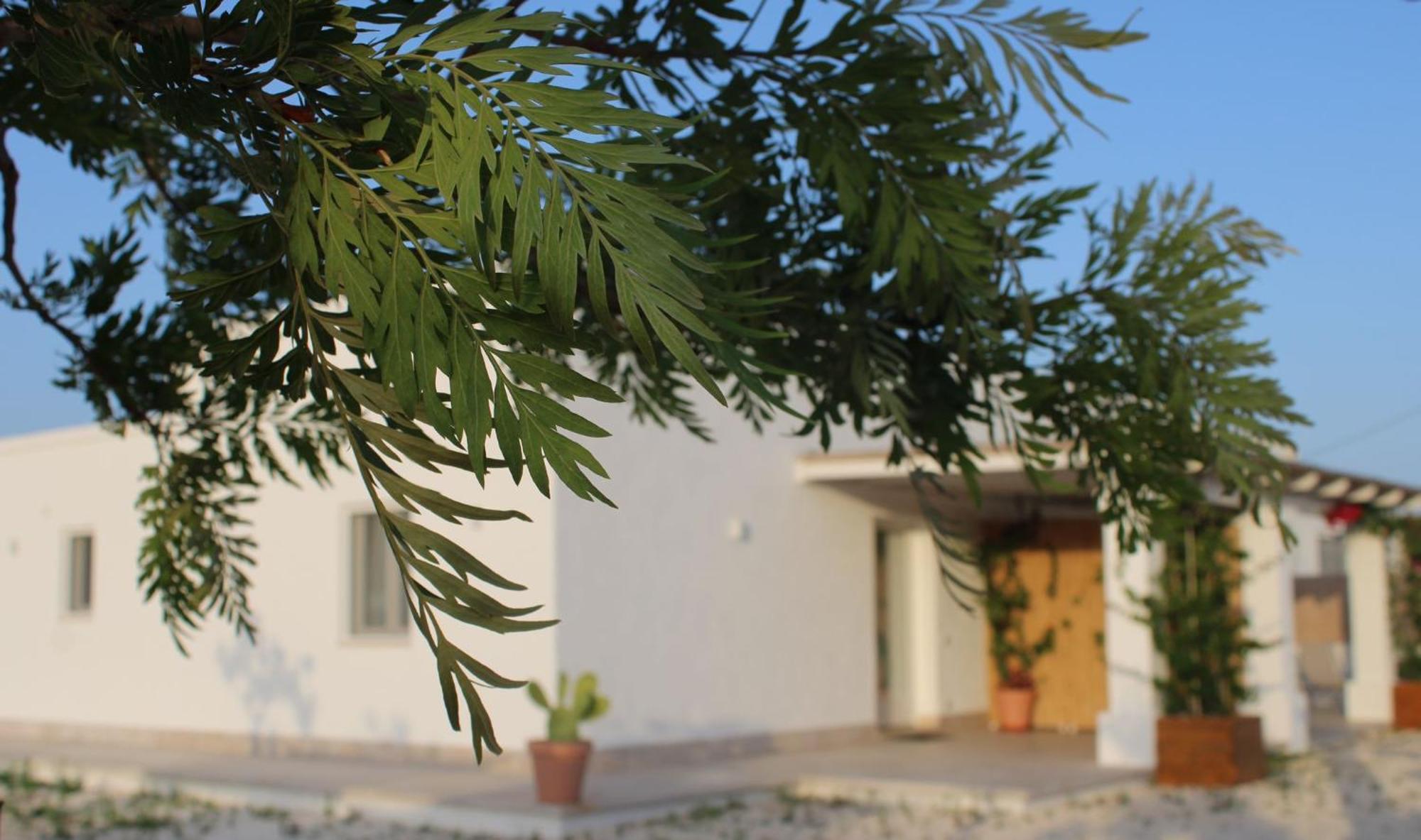 Villa Susca - Villa Sul Mare Monopoli Zewnętrze zdjęcie